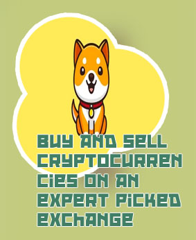 Baby dogecoin crypto
