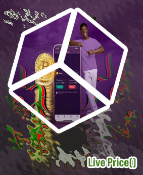 Squid game crypto price