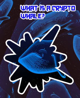 Whale watch crypto